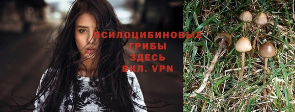 кристаллы Краснослободск