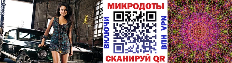 Галлюциногенные грибы Psilocybe  Ессентукская 