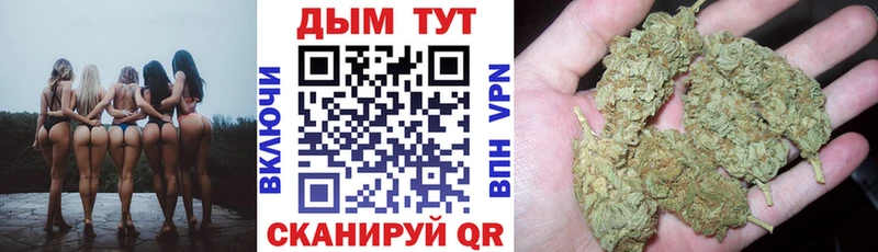 Бошки марихуана OG Kush Ессентукская