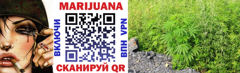 Бошки марихуана Ganja  Ессентукская 